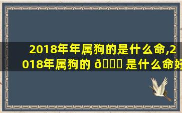 2018年年属狗的是什么命,2018年属狗的 🕊 是什么命好不好